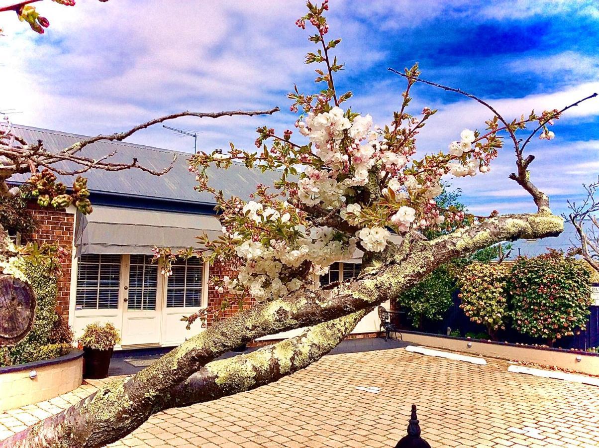 Kurrajong House Bed & Breakfast Launceston Bagian luar foto