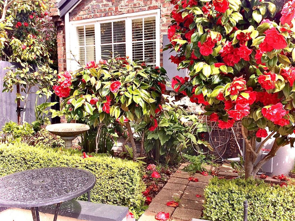 Kurrajong House Bed & Breakfast Launceston Bagian luar foto